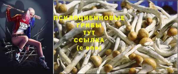 хмурый Кулебаки