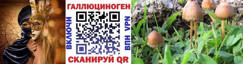 Галлюциногенные грибы мухоморы  Купить где  Карабулак 